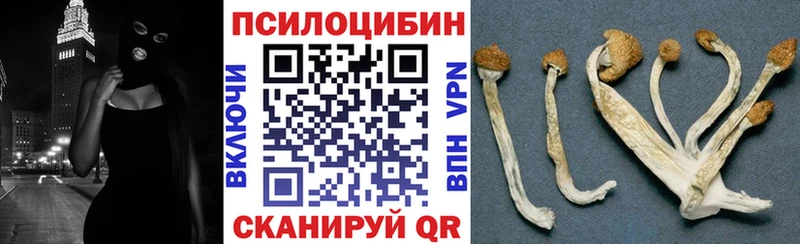 Галлюциногенные грибы Psilocybine cubensis  как найти   Усть-Кут 