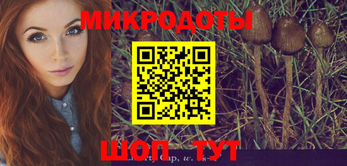 Галлюциногенные грибы Psilocybine cubensis  Вход с VPN  Галлюциногенные грибы MAGIC MUSHROOMS  Усть-Кут 