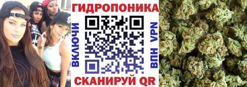 Марихуана сатива  купить   гидра tor  Усть-Кут 